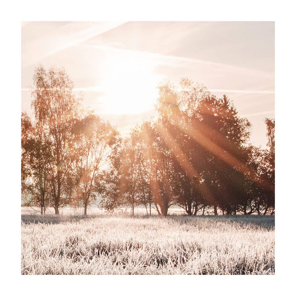 Early Sunrise 2 | Pine & Oak Furniture Pine & Oak Furniture