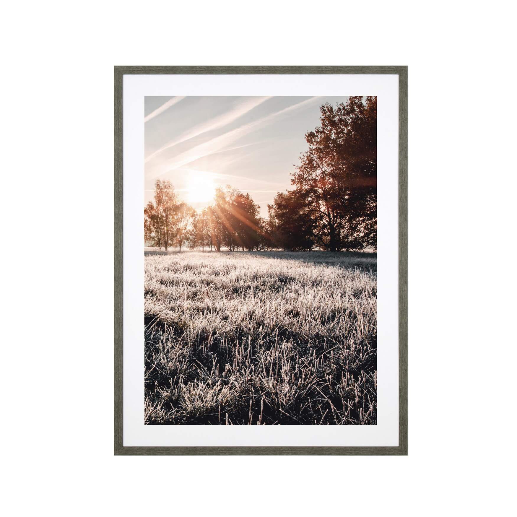 Early Sunrise 3 | Pine & Oak Furniture Pine & Oak Furniture