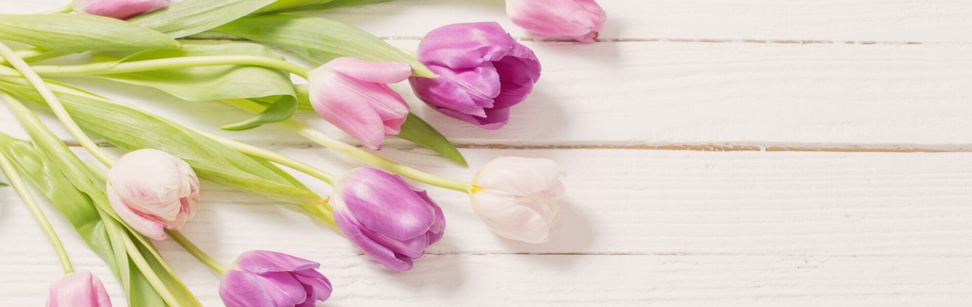 Bouquet of pink and purple tulips on a white wooden surface.